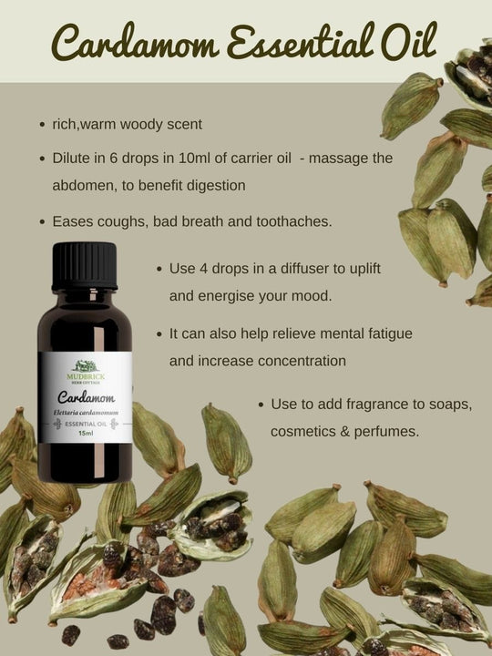 Cardamom Essential Oil: Benefits, Properties, Applications